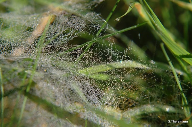 Wetter-Bild (Foto: Gernot Thelemann)