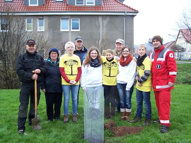 Bäume gepflanzt (Foto: Nicole Trümper) Bäume gepflanzt (Foto: Nicole Trümper)