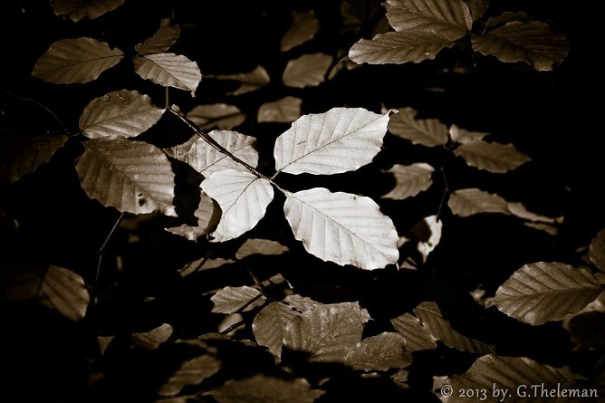 Wetter-Bild (Foto: Gernot Thelemann)