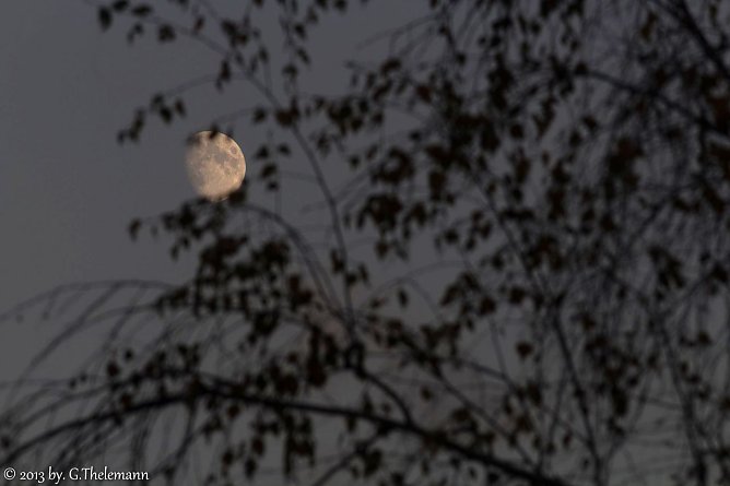 Wetter-Bild (Foto: Gernot Thelemann) Wetter-Bild (Foto: Gernot Thelemann)