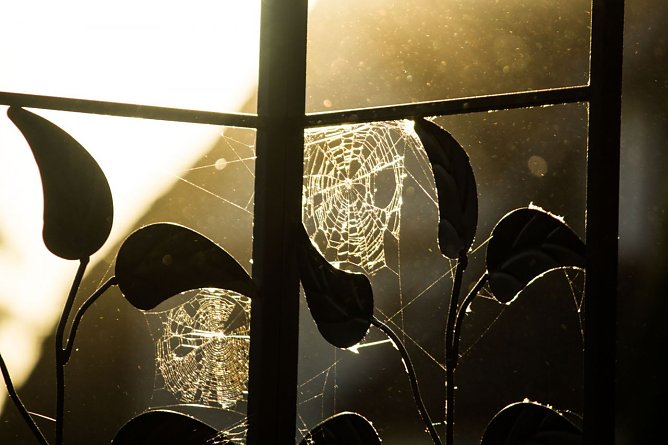 Wetter-Bild (Foto: Gernot Thelemann)