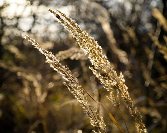 Wetter-Bild (Foto: Gernot Thelemann)