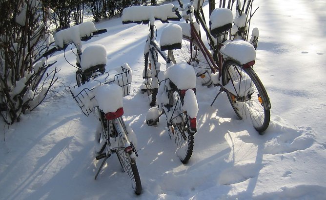 Radfahren im Winter (Foto: privat)