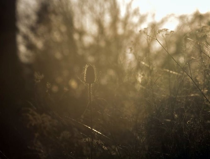 Wetter-Bild (Foto: Gernot Thelemann)