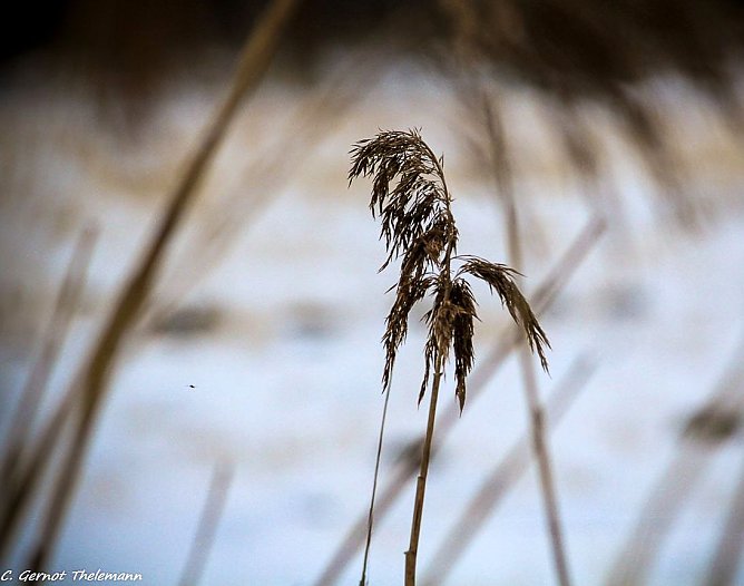 Wetter-Bild (Foto: Gernot Thelemann) Wetter-Bild (Foto: Gernot Thelemann)