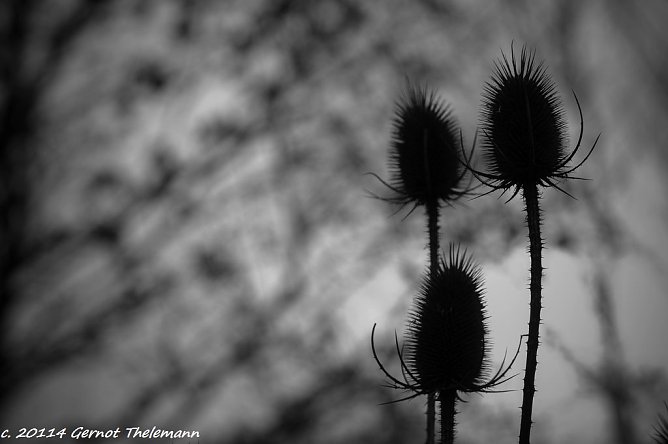 Wetter-Bild (Foto: Gernot Thelemann)