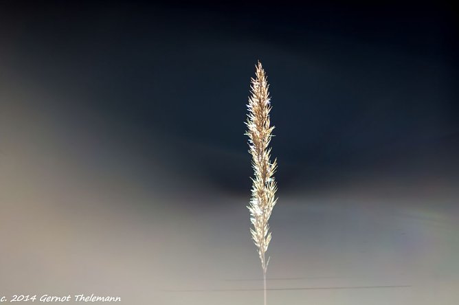 Wetter-Bild (Foto: Gernot Thelemann) Wetter-Bild (Foto: Gernot Thelemann)