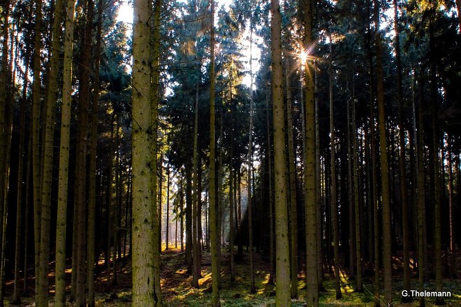 Wetter-Bild (Foto: Gernot Thelemann)