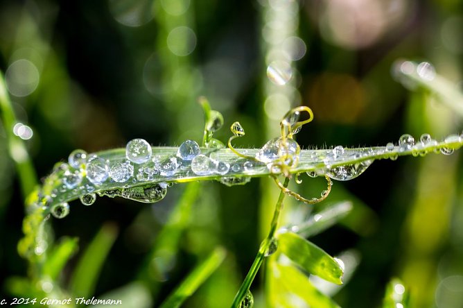 Wetter-Bild (Foto: Gernot Thelemann) Wetter-Bild (Foto: Gernot Thelemann)
