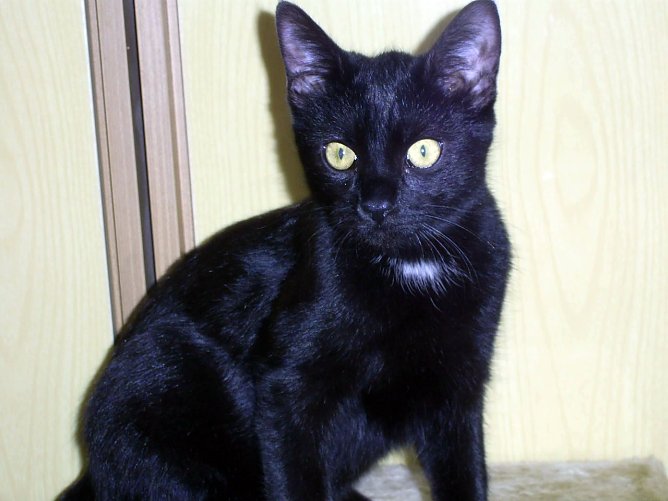 Sorgenkind 2: Elli (Foto: C. Knust)