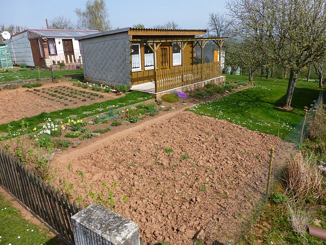 Kleingarten (Foto: Reinhold Przywarra)