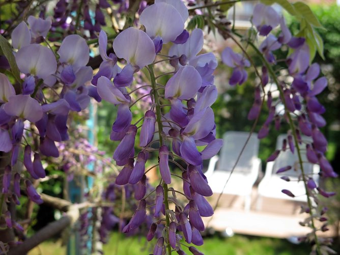 Wetter-Bild (Foto: nnz)