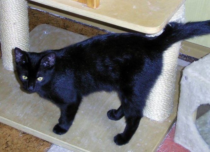 Mirella (Foto: C. Knust) Mirella (Foto: C. Knust)