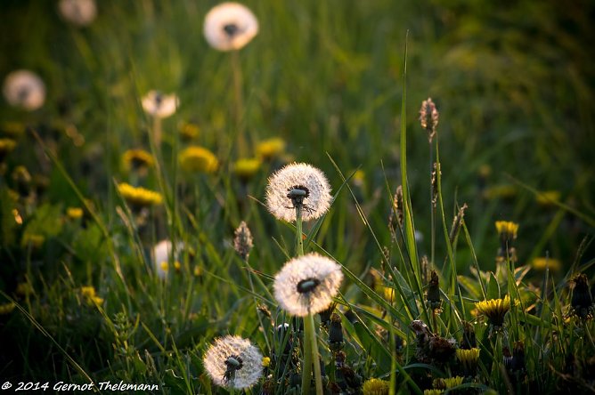 Wetter-Bild (Foto: Gernot Thelemann)