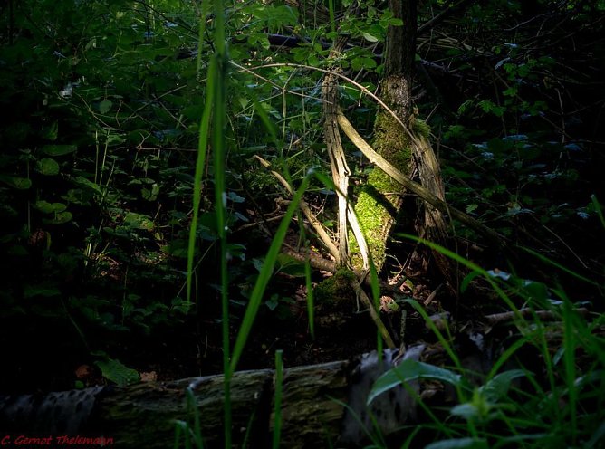 Wetter-Bild (Foto: Gernot Thelemann) Wetter-Bild (Foto: Gernot Thelemann)