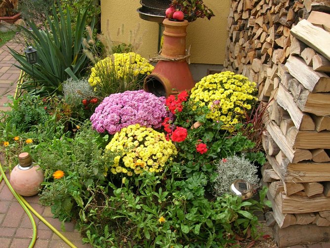 Gartenfreuden, Gartenfrust - welcher Fachmann hilft? (Foto: Ilona Glashagel) Gartenfreuden, Gartenfrust - welcher Fachmann hilft? (Foto: Ilona Glashagel)