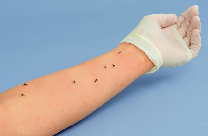 M&uuml;ckenmittel getestet (Foto: Stiftung Warentest)