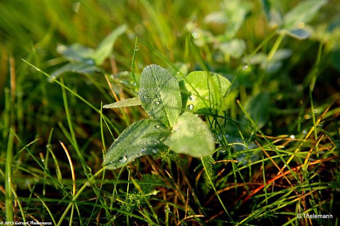 Wetterbild (Foto: Gernot Thelemann)