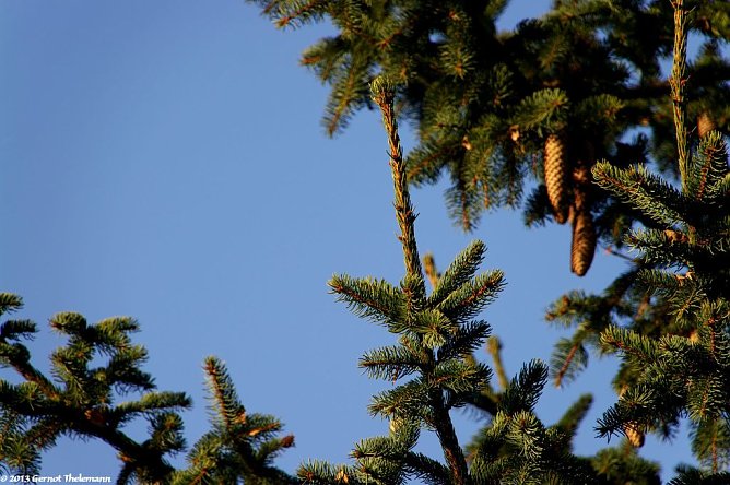 Wetter-Bild (Foto: Gernot Thelemann) Wetter-Bild (Foto: Gernot Thelemann)