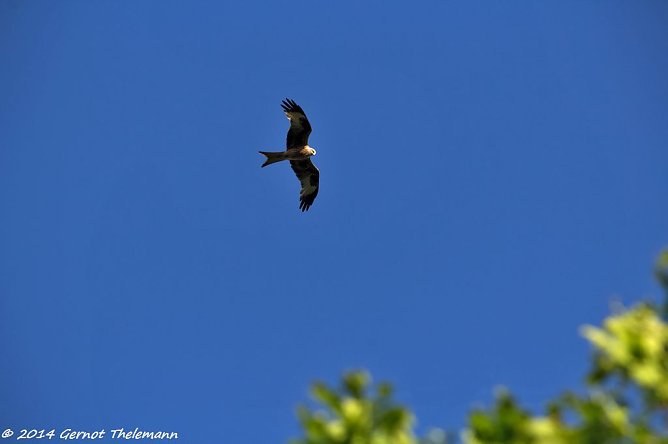 Wetter-Bild (Foto: Gernot Thelemann)