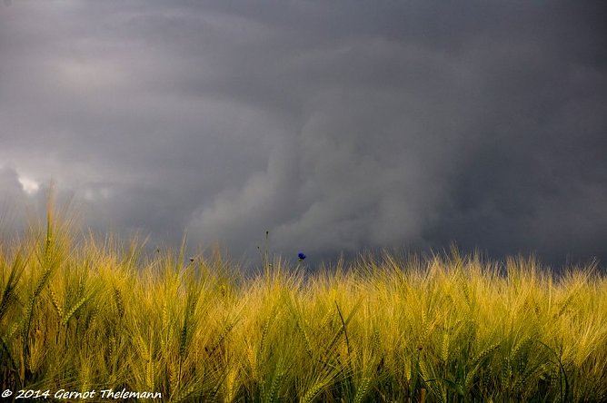 Wetterbild (Foto: Gernot Thelemann) Wetterbild (Foto: Gernot Thelemann)