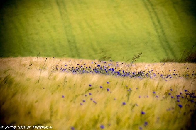Wetter-Bild (Foto: Gernot Thelemann) Wetter-Bild (Foto: Gernot Thelemann)