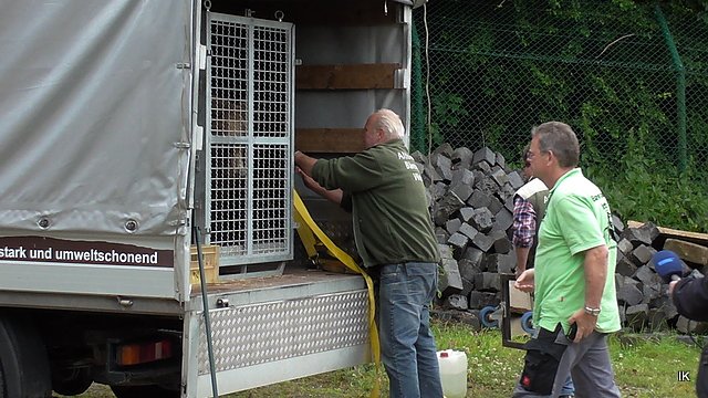 Ankunft im B&auml;renpark in Worbis (Foto: Ilka K&uuml;hn)