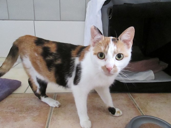 Nicole (Foto: Karin Ziegler)