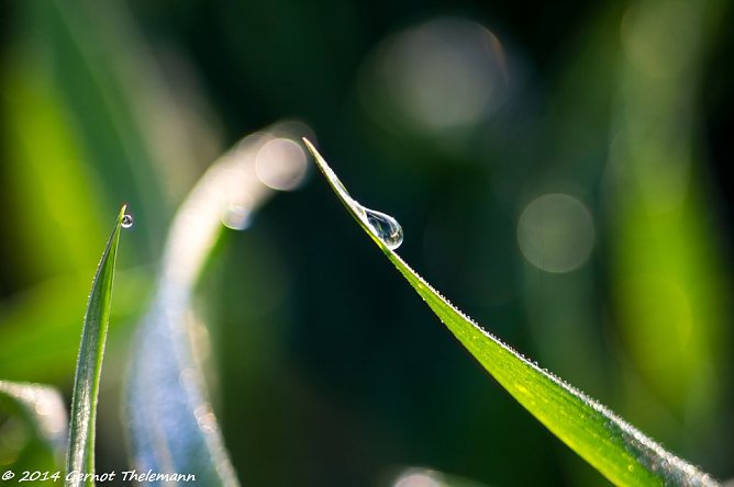 Wetterbild (Foto: Gernot Thelemann)