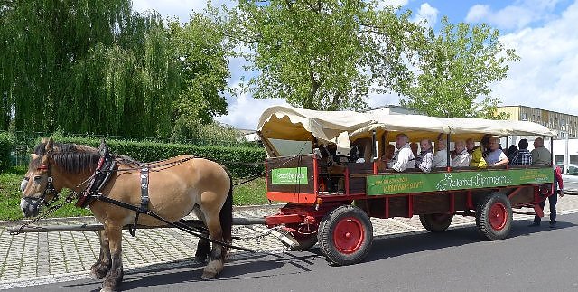 Start (Foto: Werner Probst)