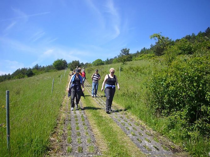 Wandern (Foto: Katharina Trümper) Wandern (Foto: Katharina Trümper)