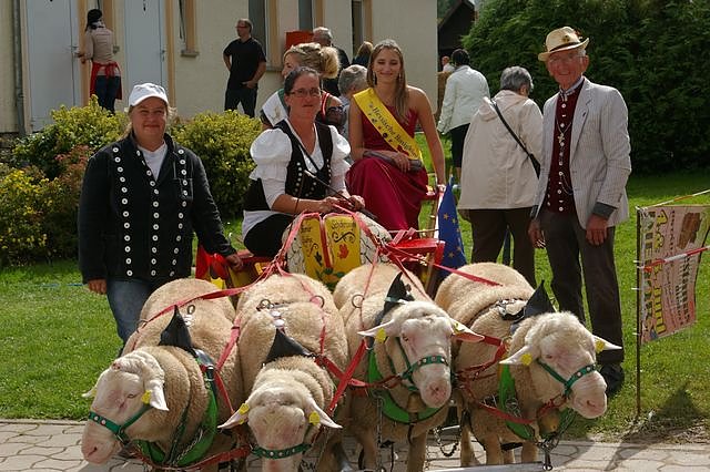 Quadriga mit K&ouml;niginnen (Foto: Ilka K&uuml;hn)