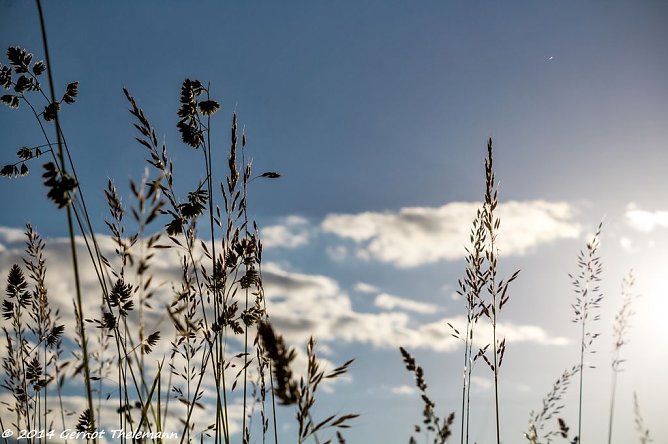 Wetterbild (Foto: Gernot Thelemann)