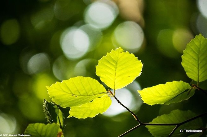 Wetter-Bild (Foto: Gernot Thelemann) Wetter-Bild (Foto: Gernot Thelemann)