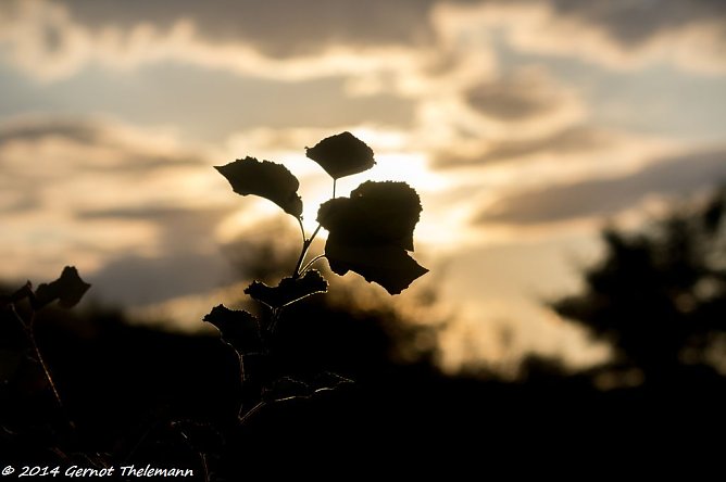Wetter-Bild (Foto: Gernot Thelemann)