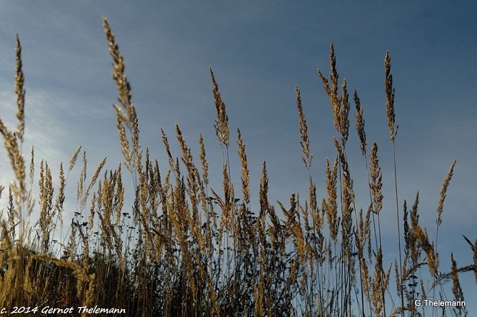 Wetter-Bild (Foto: Gernot Thelemann)