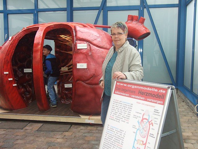 Gesundheitstag (Foto: Netzwerk)