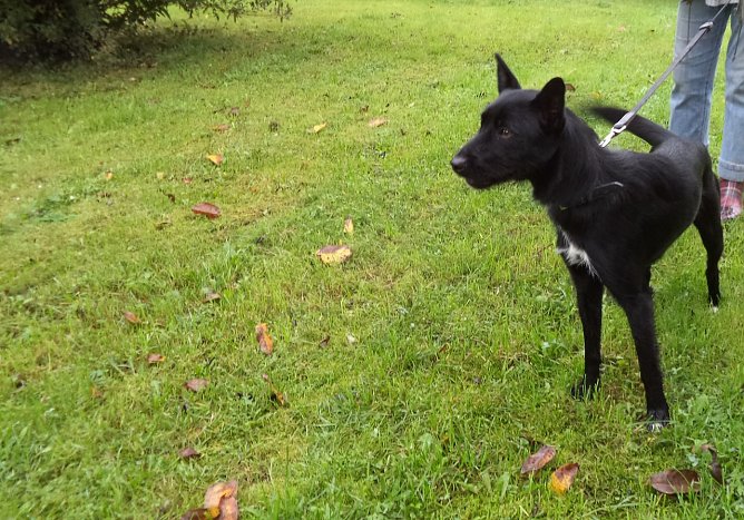 Lilly (Foto: B. Hellrung)