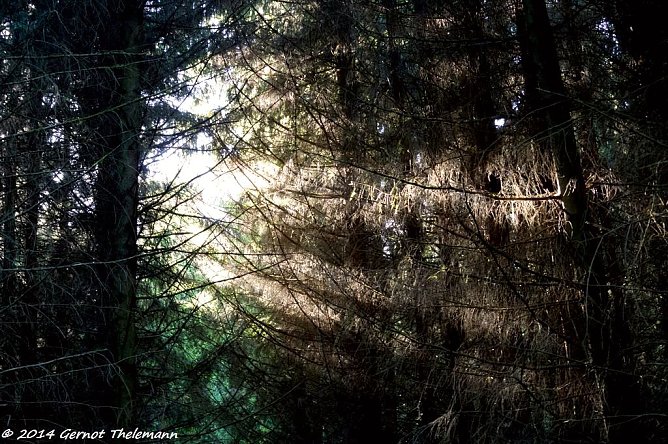 Wetterbild (Foto: Gernot Thelemann)