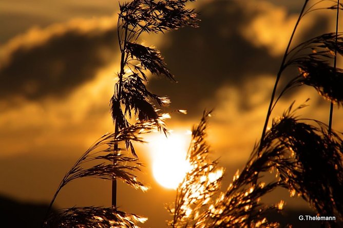 Wetterbild (Foto: Gernot Thelemann)