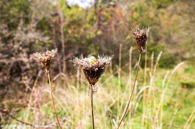 Wetterbild (Foto: Gernot Thelemann)