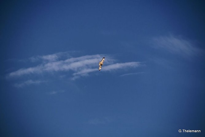 Wetter-Bild (Foto: Gernot Thelemann)