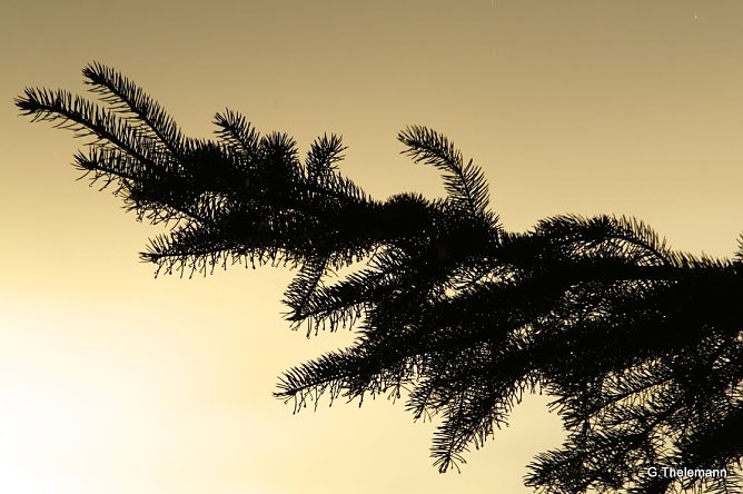 Wetterbild (Foto: Gernot Thelemann)