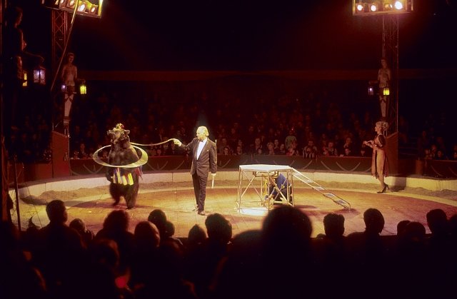 Zirkus Berousek (Foto: Stiftung f&uuml;r B&auml;ren)