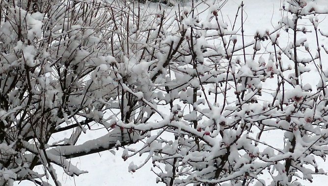 Endlich Winter (Foto: nnz)