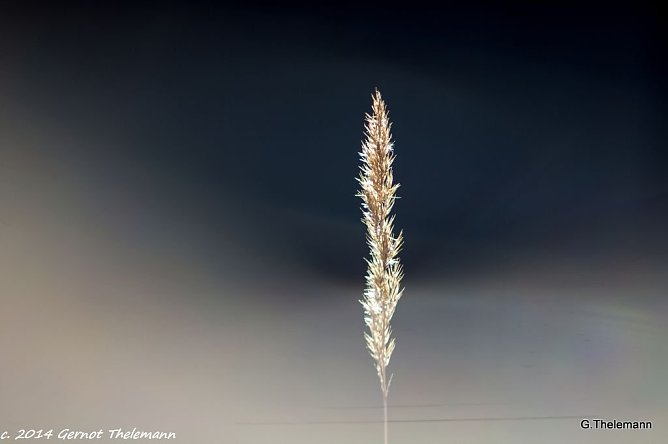 Wetterbild (Foto: Gernot Thelemann) Wetterbild (Foto: Gernot Thelemann)