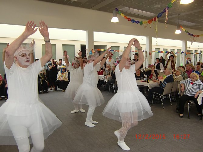 Schwäne (Foto: Werner Probst) Schwäne (Foto: Werner Probst)