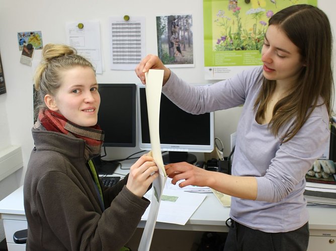 Versendung der Gewinnerbriefe (Foto: Uwe Müller) Versendung der Gewinnerbriefe (Foto: Uwe Müller)