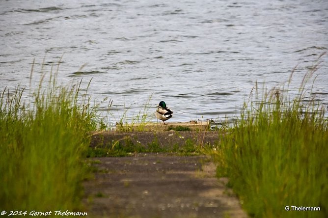 Wetter-Bild (Foto: Gernot Thelemann) Wetter-Bild (Foto: Gernot Thelemann)