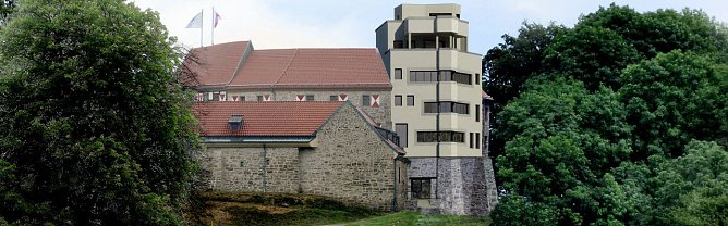 Ansicht k&uuml;nftiger Aussichtsturm (Foto: Dr. Anja L&ouml;ffler)
